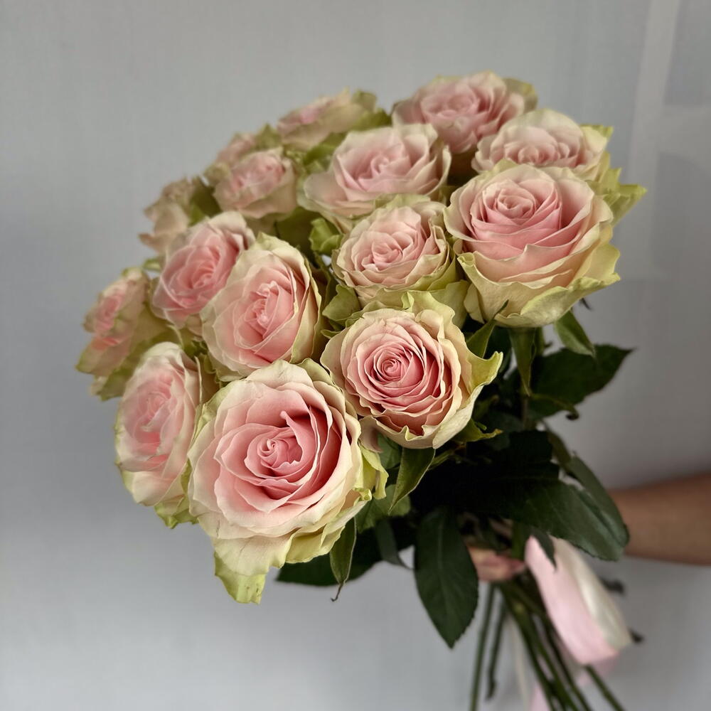 Frutetto Rose I ჰოლანდიური ვარდი 10 ცალი 