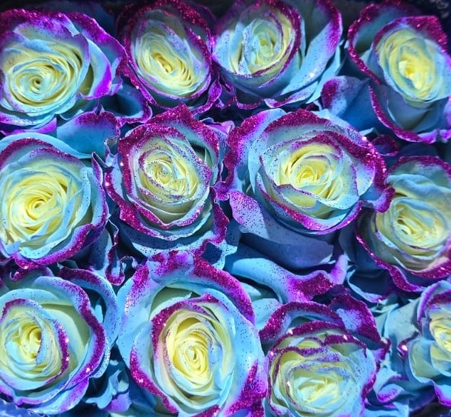 შეღებილი ვარდი 